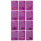 Dinozaury wykopaliska jajka dinozaura figurki zestaw archeologiczny 12 jajek