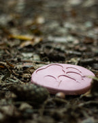 Foremki do odciskania śladów zwierząt