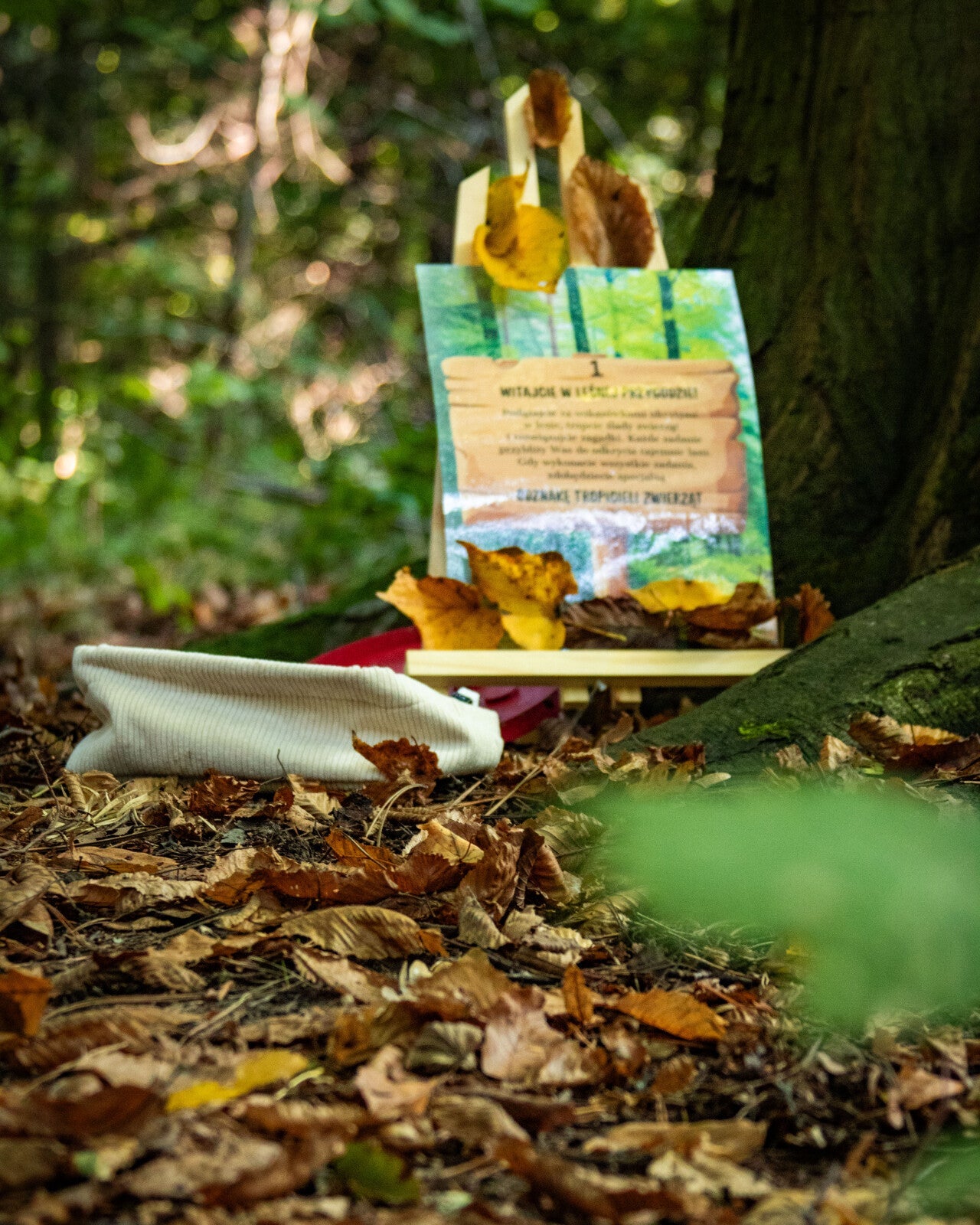 Gra terenowa leśni tropiciele