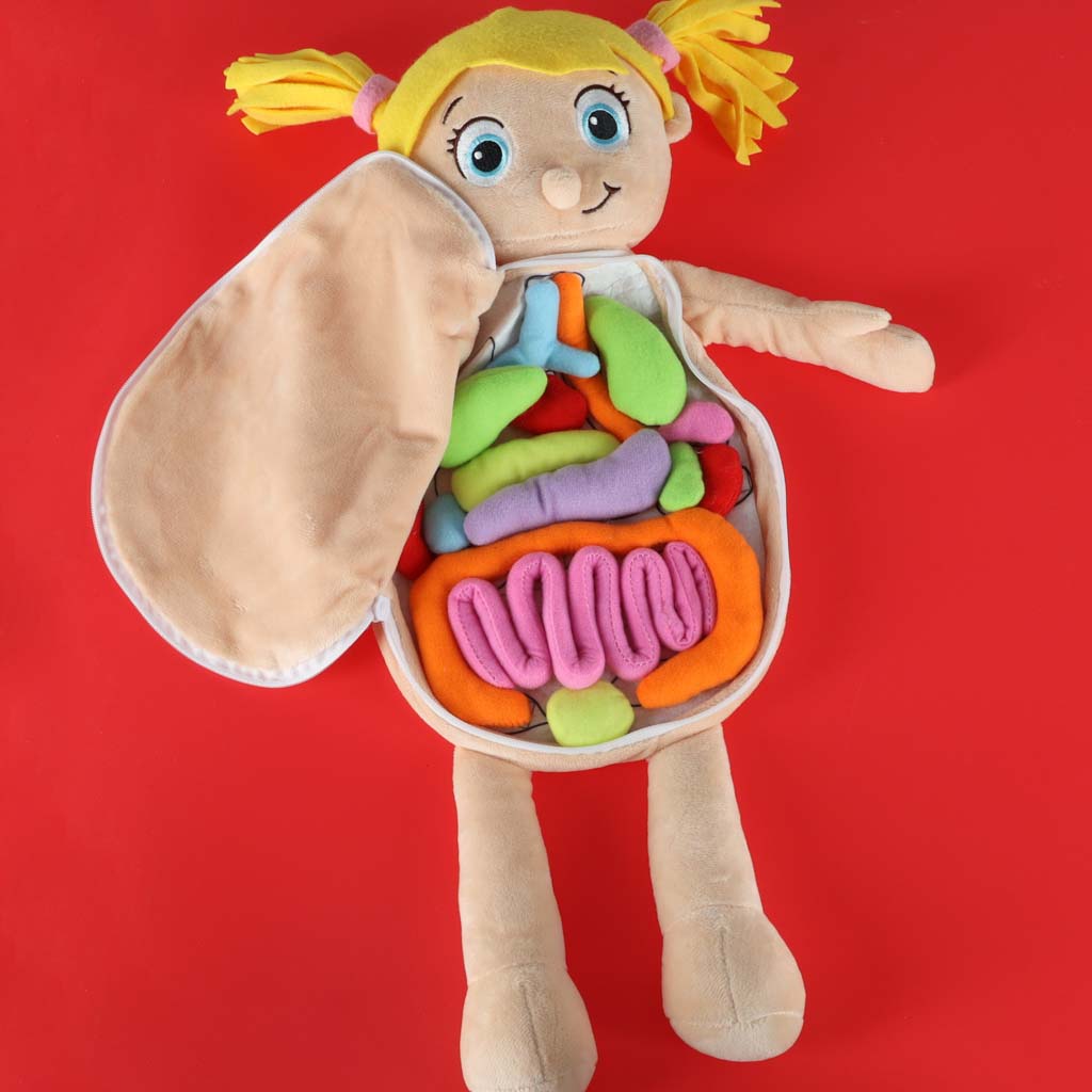Lalka maskotka nauka anatomii dziewczynka