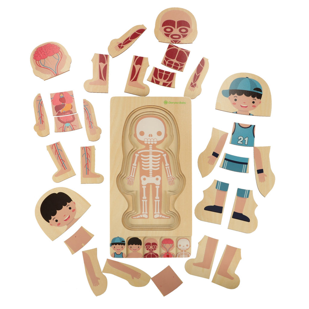 Puzzle drewniane warstwowe budowa ciała montessori chłopiec