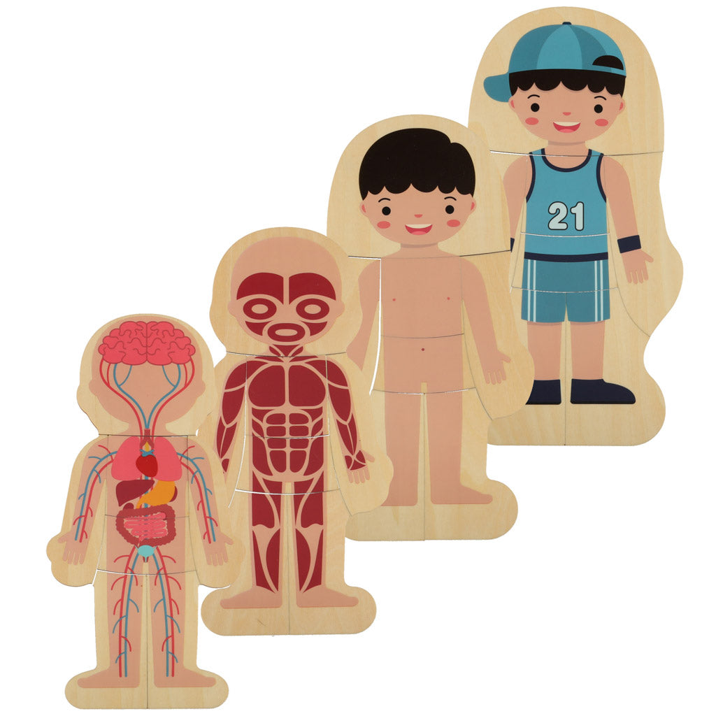 Puzzle drewniane warstwowe budowa ciała montessori chłopiec