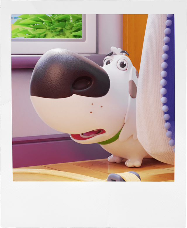 Rysio, Basia’s canine assistant