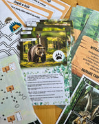 Gra terenowa leśni tropiciele