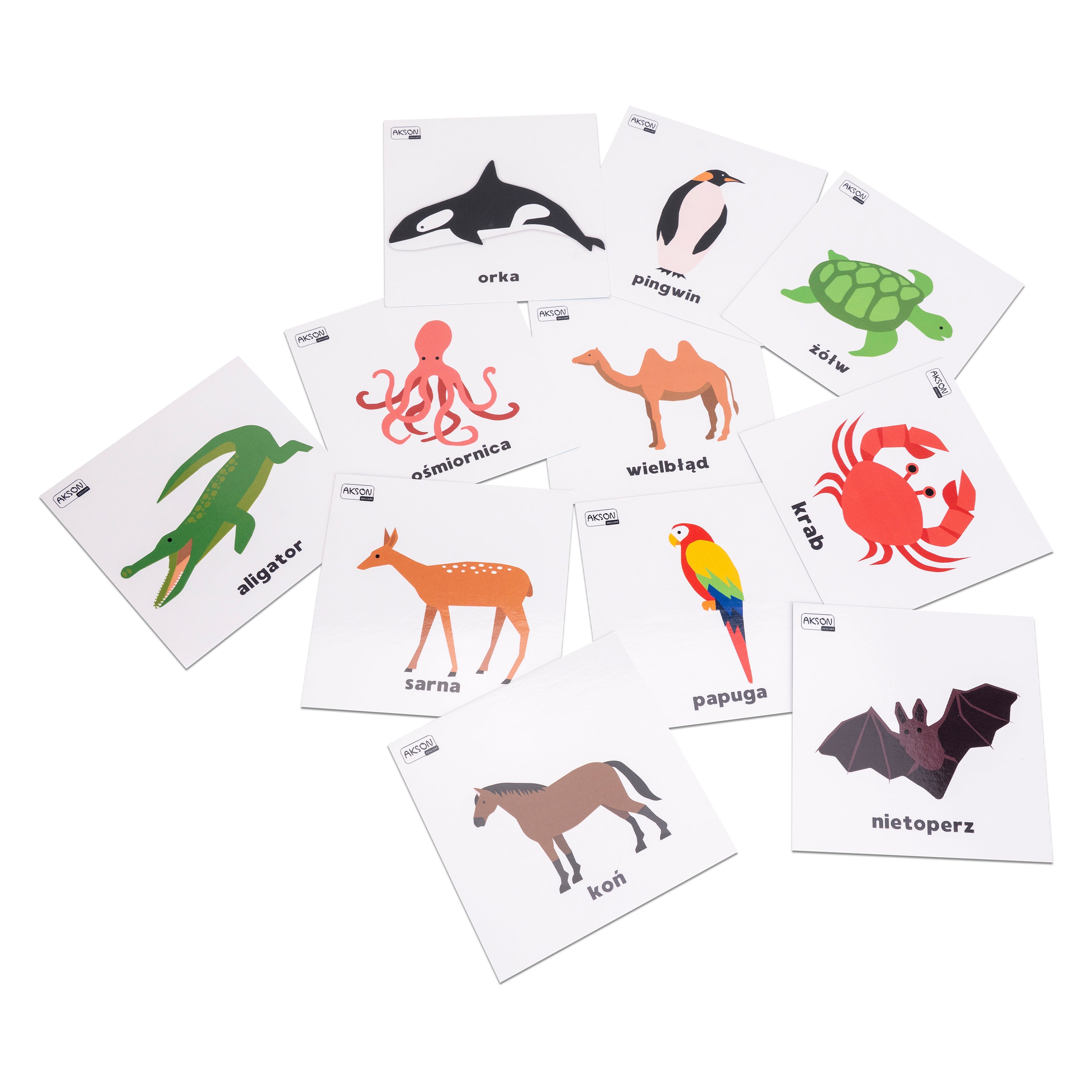 Karty pracy ZWIERZĘTA po polsku 10 x 10 cm 78 sztuk